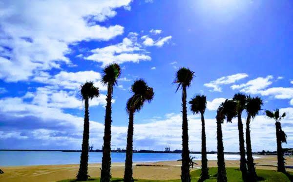 Atico Con Piscina Y Vistas Al Mar Habitat Litoral Lägenhet Málaga Exteriör bild